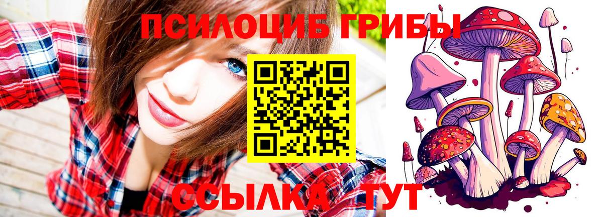 Псилоцибиновые грибы Cubensis  Галлюциногенные грибы Psilocybe  Вход с VPN  Югорск 